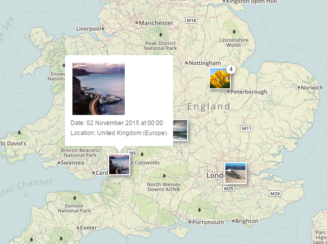 Bird Journal 5 Maps
