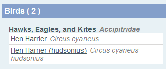 Bird Journal Tips and Tricks - How to add preferred species names using synonym lists.