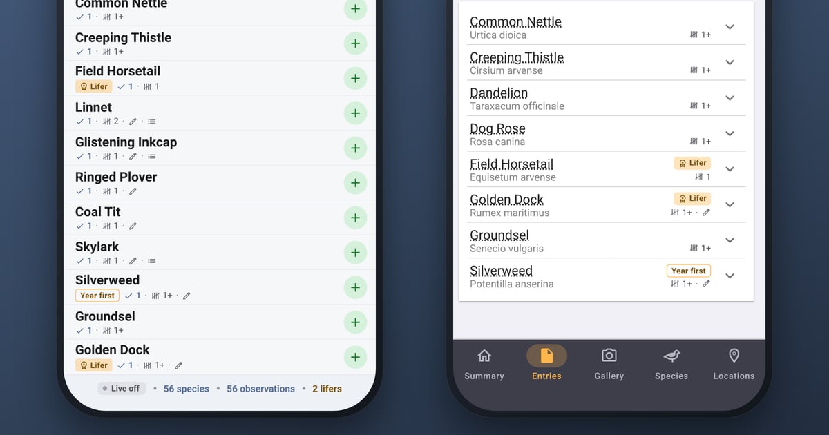 Two phones showing Bird Journal, close up: on one, the recording screen with Lifer and Year first badges on three rows and '2 lifers' on the bar at the bottom; on the other, the same entry's wild flowers with the same three badges beside the names