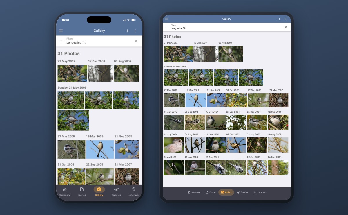 A phone and a tablet side by side showing the photo gallery, the phone with stacked tab icons above their labels and the tablet with icons beside labels in a wider centred group