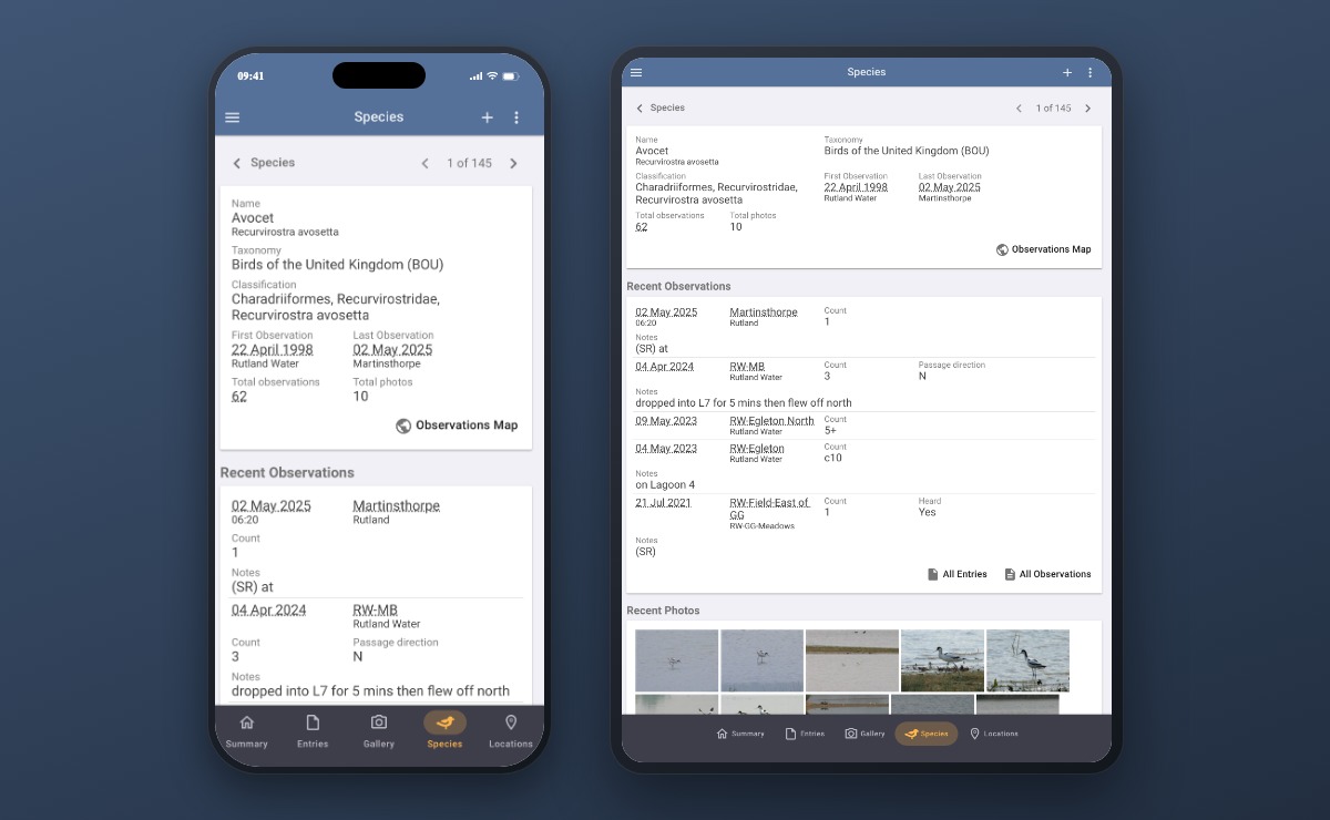A phone and a tablet, both showing a species page for an Avocet, each still displaying the five-tab bar along the bottom with Species highlighted
